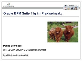 Oracle BPM Suite 11g im Praxiseinsatz

Danilo Schmiedel
OPITZ CONSULTING Deutschland GmbH
DOAG Konferenz, November 2013
Oracle BPM Suite 11g im Praxiseinsatz

Seite 1

 