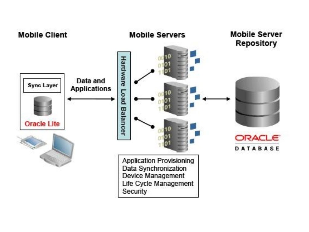 Base de Datos Movil