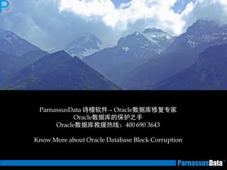 ParnassusData 诗檀软件 – Oracle数据库修复专家 
Oracle数据库的保护之手 
Oracle数据库救援热线：400 690 3643 
Know More about Oracle Database Block Corruption 
 
