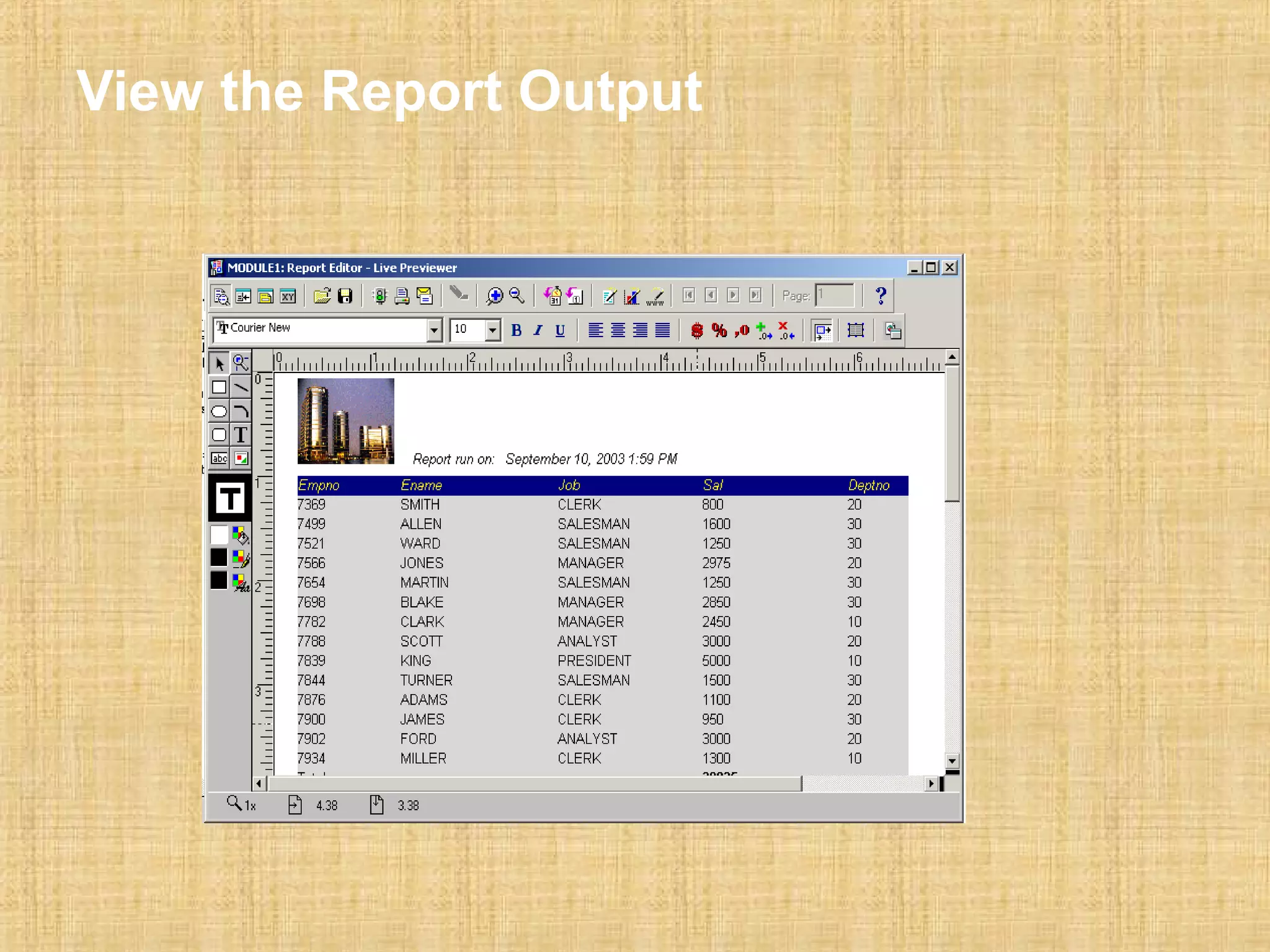 View the Report Output 
 