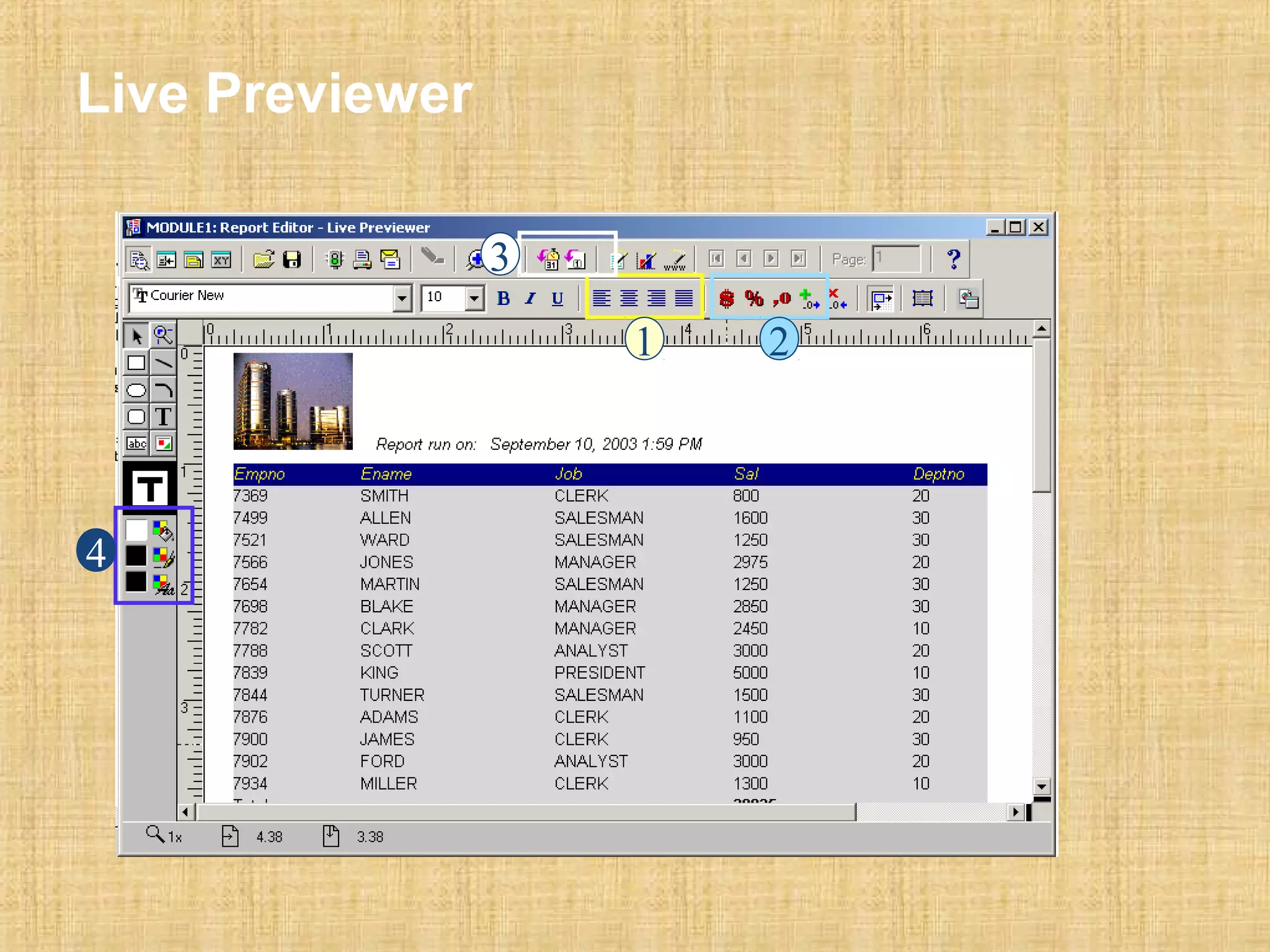 Live Previewer 
1 2 
3 
4 
 