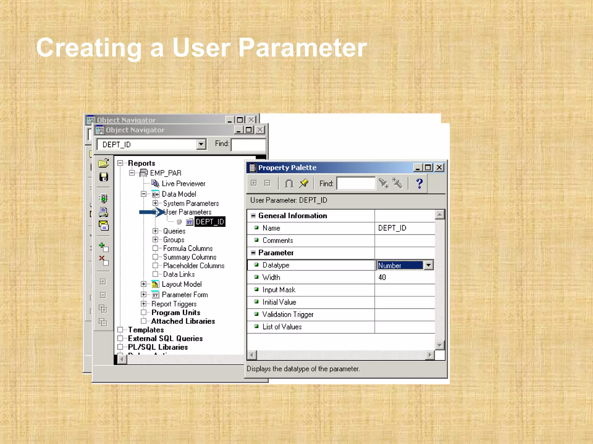 Creating a User Parameter 
 