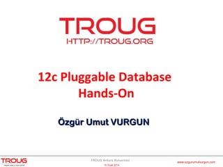 12c Pluggable Database
Hands-On
Özgür Umut VURGUN

TROUG Ankara Bulusmasi
16 Ocak 2014

www.ozgurumutvurgun.com

 
