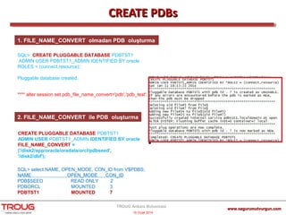 Oracle12c Pluggable Database Hands On - TROUG 2014 | PPT