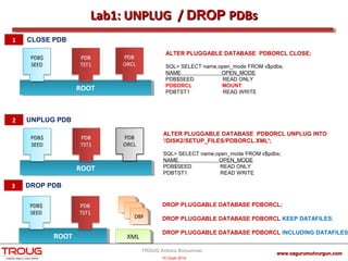 Oracle12c Pluggable Database Hands On - TROUG 2014 | PPT