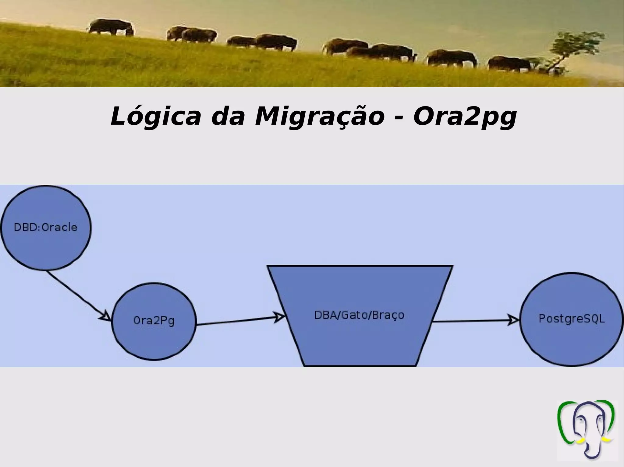 Lógica da Migração - Ora2pg
 