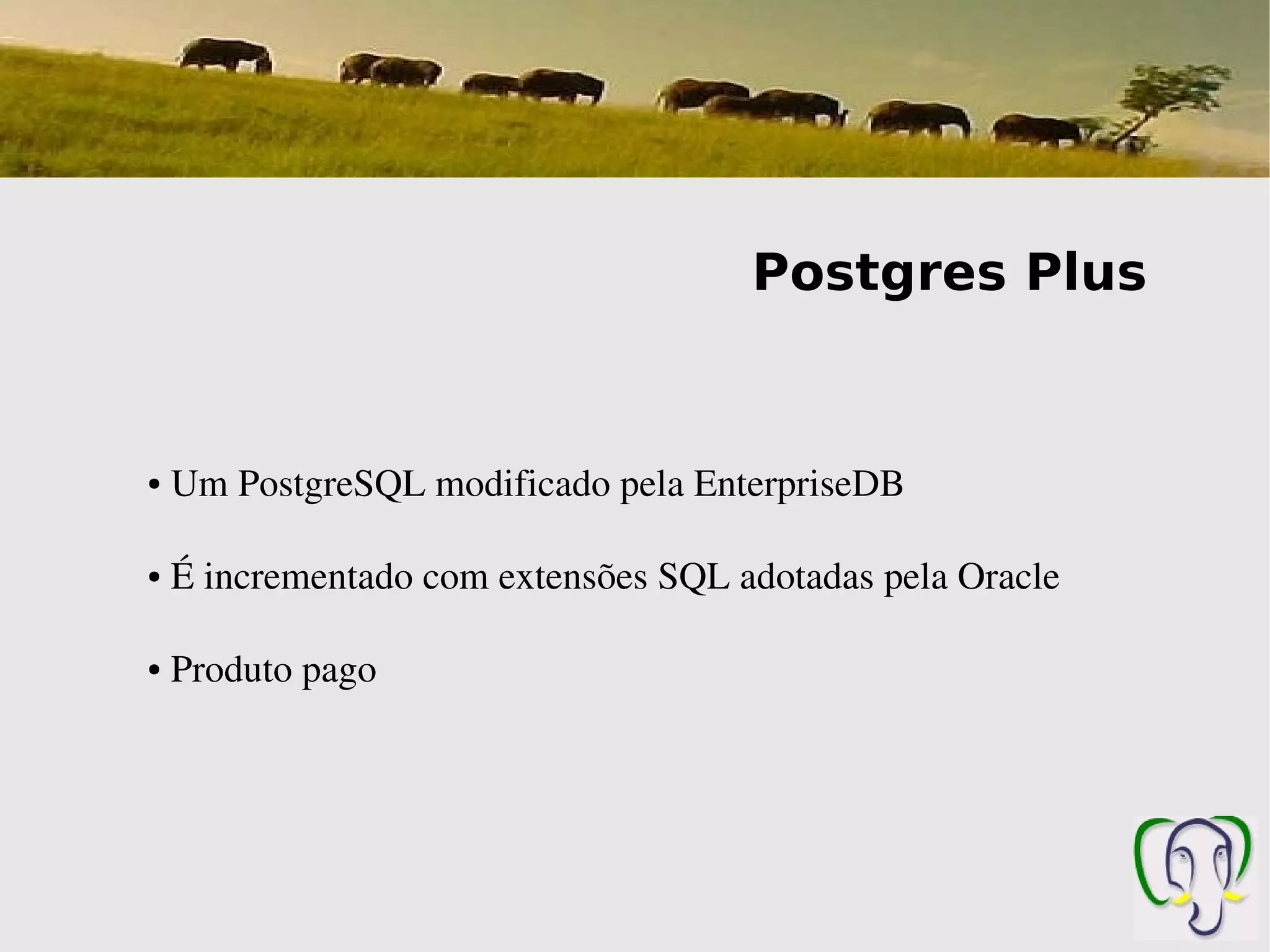Postgres Plus


●    Um PostgreSQL modificado pela EnterpriseDB

●    É incrementado com extensões SQL adotadas pela Oracle 

●    Produto pago
 