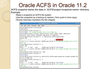  Example extend/u01/acfs with 2GB