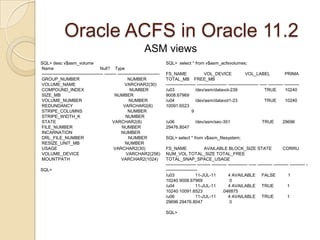 Oracle ACFS in Oracle 11.2