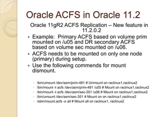 Oracle ACFS in Oracle 11.2