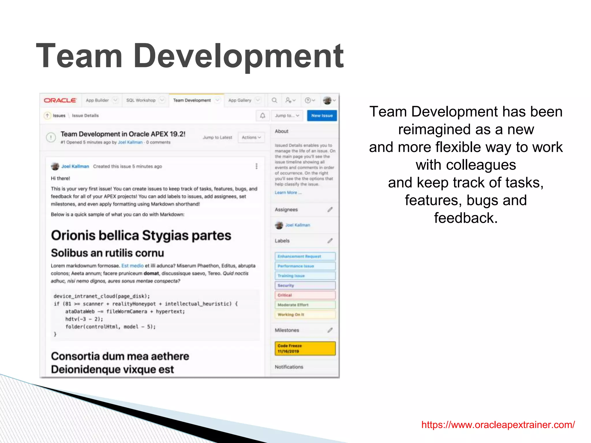 Team Development
https://www.oracleapextrainer.com/
Team Development has been
reimagined as a new
and more flexible way to work
with colleagues
and keep track of tasks,
features, bugs and
feedback.
 