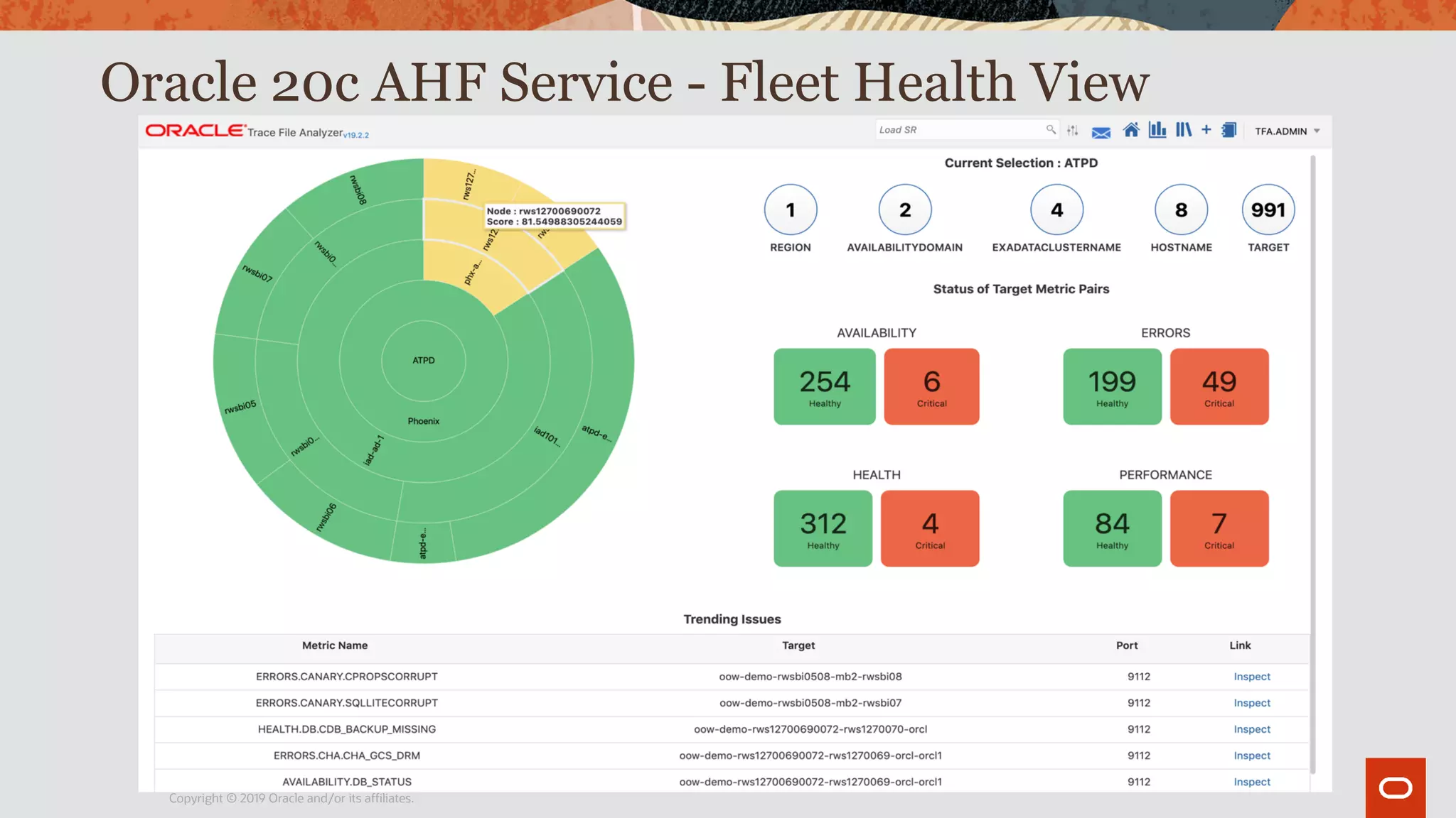 Oracle 20c AHF Service - Fleet Health View
Copyright © 2019 Oracle and/or its affiliates.
 