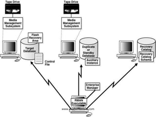 Oracle backup and recovery | PPT