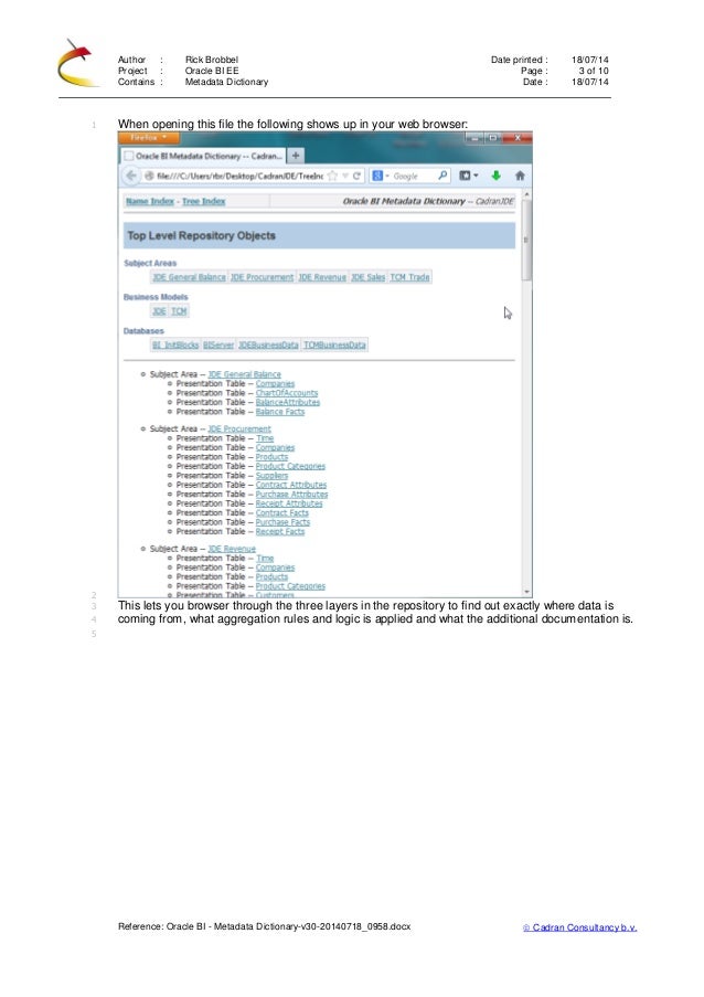 Oracle Business Intelligence Metadata Dictionary