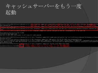 キャッシュサーバーをもう一度起動設定ファイルが上書きされていることを確認TTL=0になっていることを確認