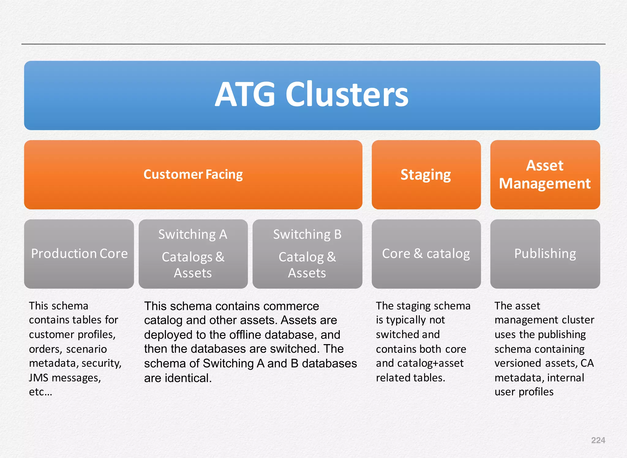 224
ATG	Clusters
Customer	Facing
Production	Core
Switching	A
Catalogs	&	
Assets
Switching	B
Catalog	&
Assets
Staging
Core	&	catalog
Asset	
Management
Publishing
This	schema	
contains	tables	for	
customer	profiles,	
orders,	scenario	
metadata,	security,	
JMS	messages,	
etc…
This schema contains commerce
catalog and other assets. Assets are
deployed to the offline database, and
then the databases are switched. The
schema of Switching A and B databases
are identical.
The	staging	schema	
is	typically	not	
switched	and	
contains	both	core	
and	catalog+asset
related	tables.
The	asset	
management	cluster	
uses	the	publishing	
schema	containing	
versioned	assets,	CA	
metadata,	internal	
user	profiles
 