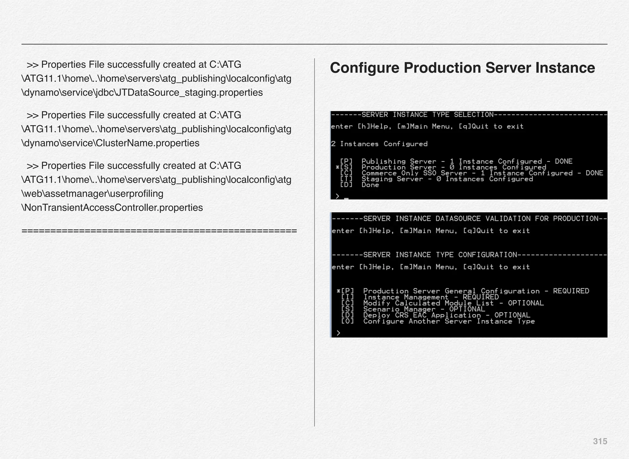 315
>> Properties File successfully created at C:ATG
ATG11.1home..homeserversatg_publishinglocalconﬁgatg
dynamoservicejdbcJTDataSource_staging.properties
>> Properties File successfully created at C:ATG
ATG11.1home..homeserversatg_publishinglocalconﬁgatg
dynamoserviceClusterName.properties
>> Properties File successfully created at C:ATG
ATG11.1home..homeserversatg_publishinglocalconﬁgatg
webassetmanageruserproﬁling
NonTransientAccessController.properties
================================================
Conﬁgure Production Server Instance
 
