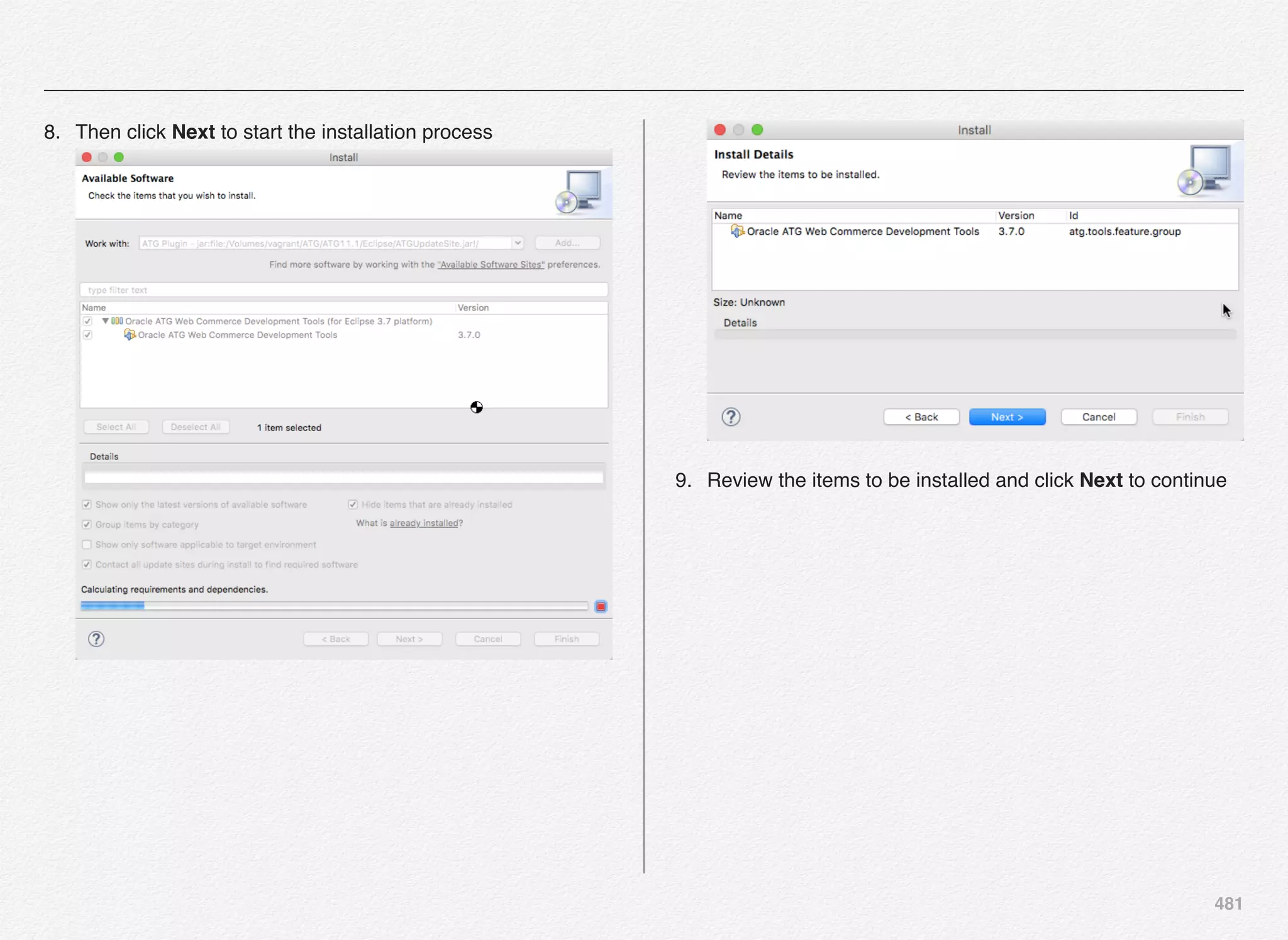481
8. Then click Next to start the installation process 
 
9. Review the items to be installed and click Next to continue
 