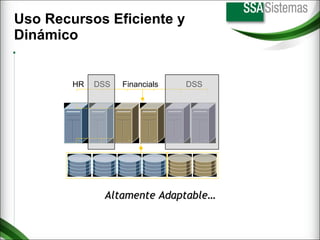 Uso Recursos Eficiente y  Dinámico HR Financials DSS DSS Altamente Adaptable… 