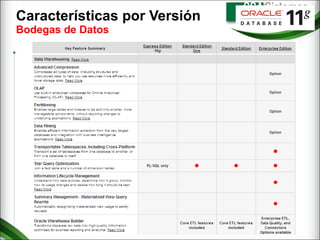Características por Versión  Bodegas de Datos 