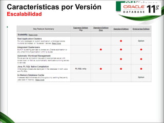 Características por Versión  Escalabilidad 