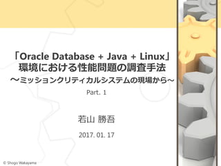 「Oracle Database + Java + Linux」
環境における性能問題の調査手法
～ミッションクリティカルシステムの現場から～
Part. 1
若山 勝吾
2017. 01. 17
© Shogo Wakayama
 