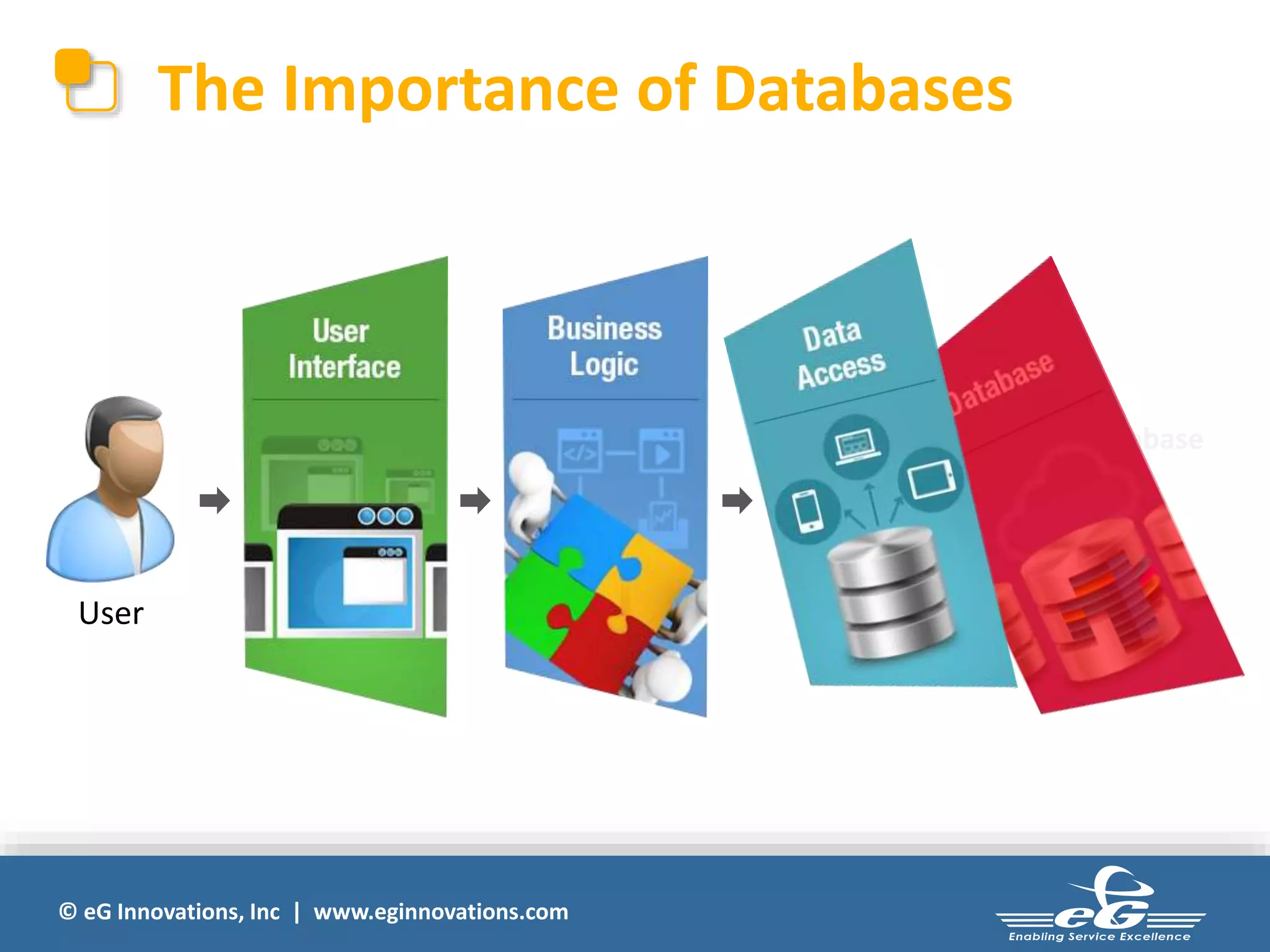 The Importance of Databases 
© eG Innovations, Inc | www.eginnovations.com 
Database 
User 
 