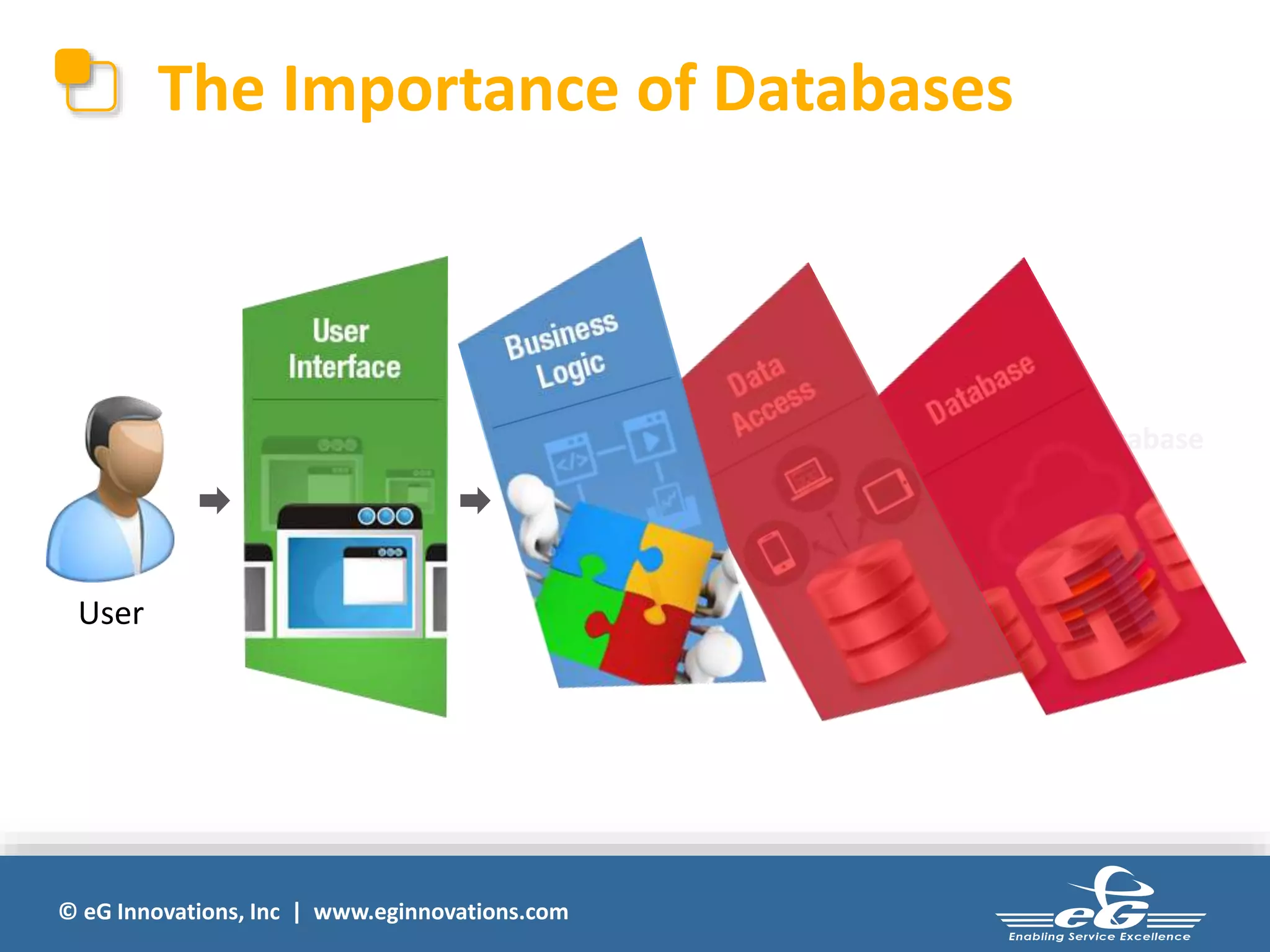 The Importance of Databases 
© eG Innovations, Inc | www.eginnovations.com 
Database 
User 
 