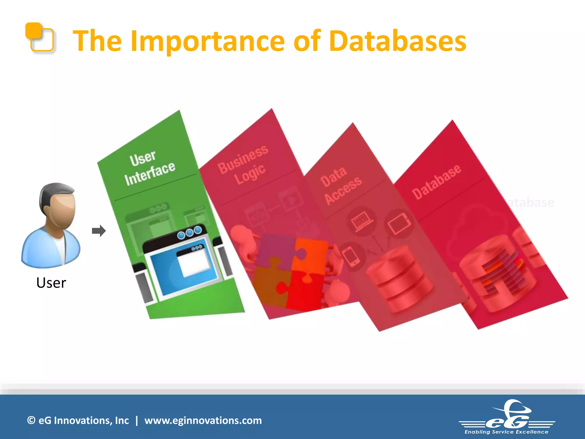 The Importance of Databases 
© eG Innovations, Inc | www.eginnovations.com 
Database 
User 
 