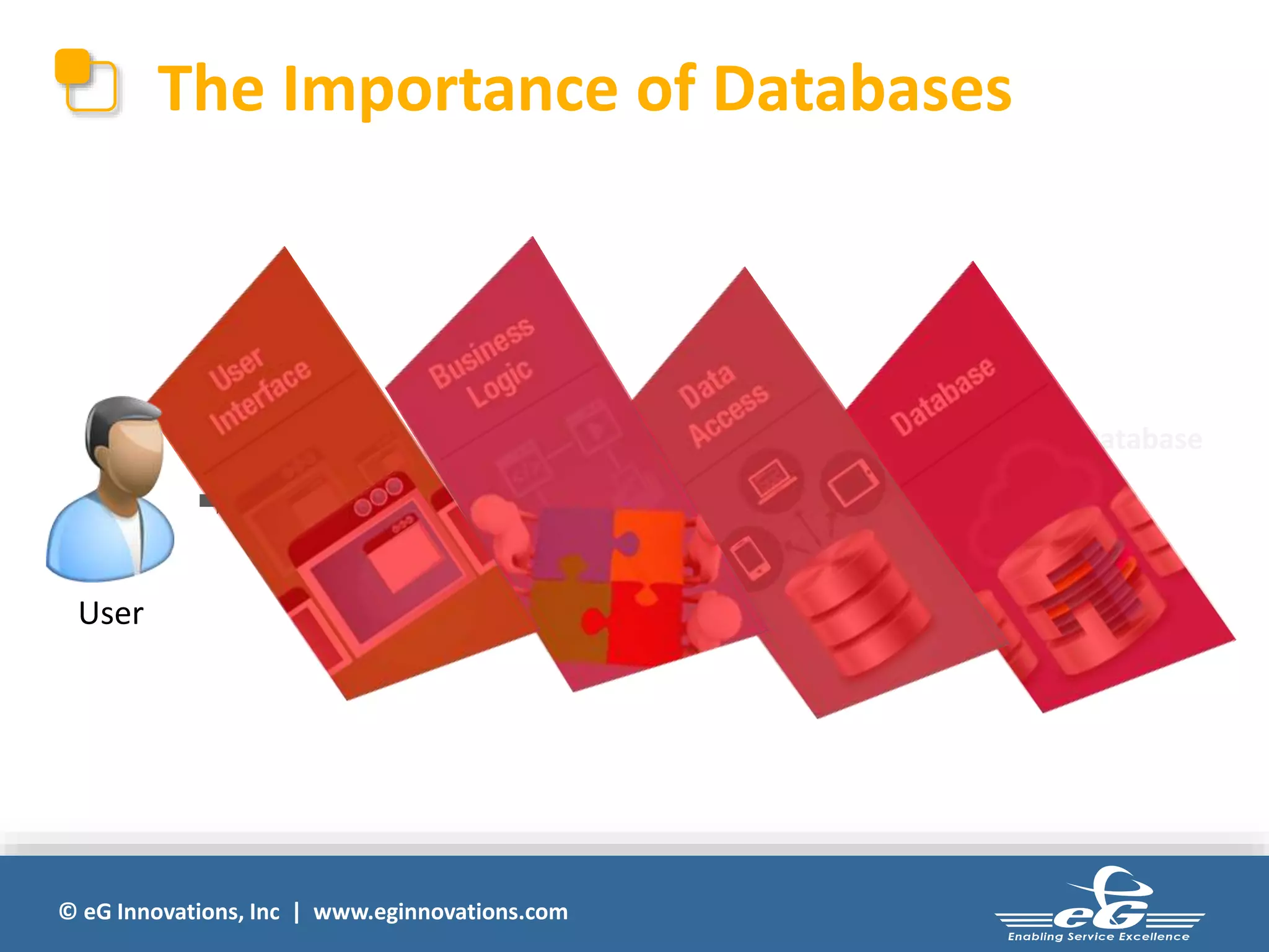 The Importance of Databases 
© eG Innovations, Inc | www.eginnovations.com 
Database 
User 
 