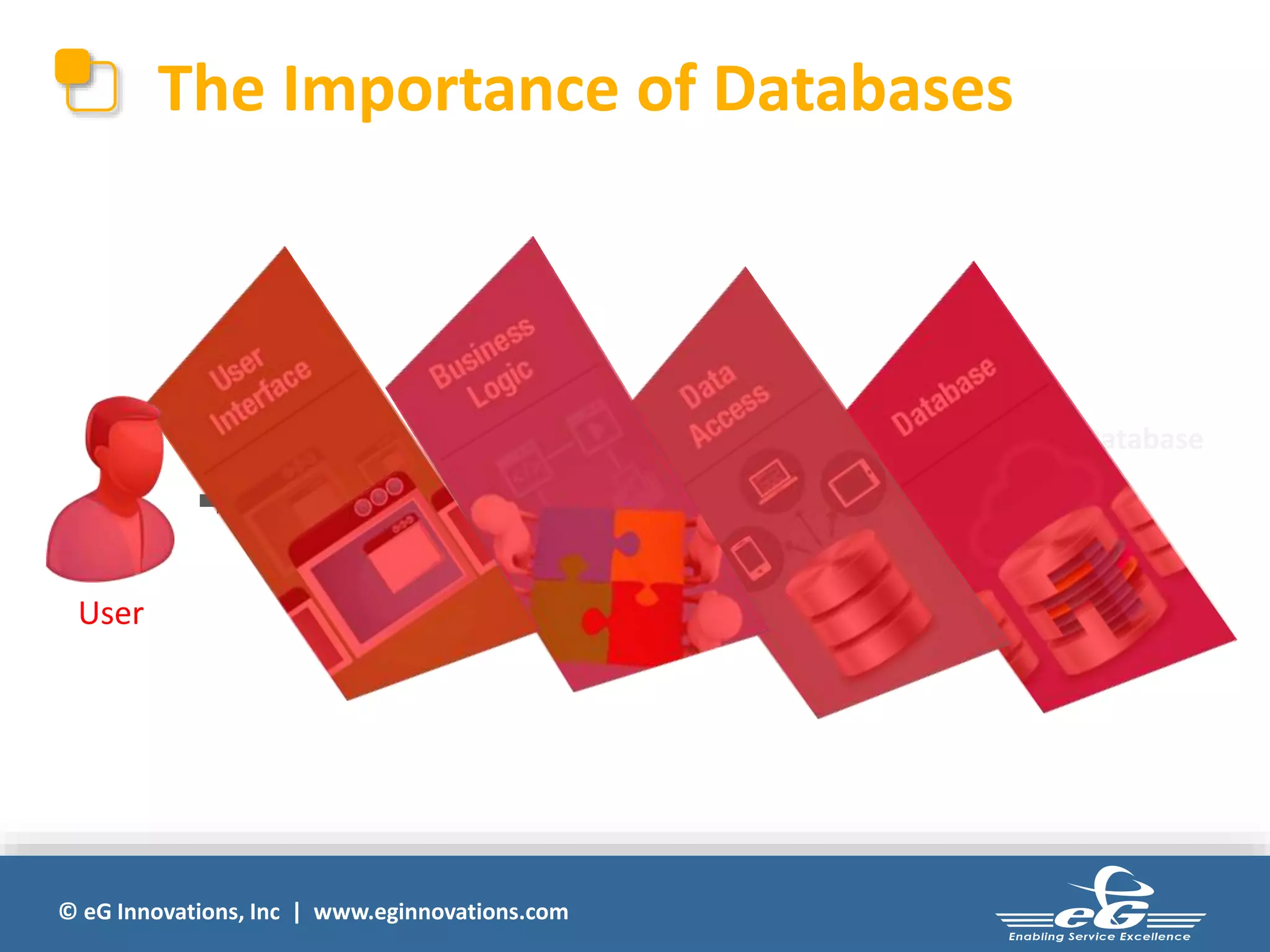 The Importance of Databases 
© eG Innovations, Inc | www.eginnovations.com 
Database 
User 
 