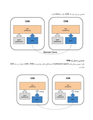 ‫یک‬ ‫برای‬ ‫توان‬ ‫می‬ ‫همچنین‬
CDB
‫نیز‬ ‫دیگر‬
clone
.‫گرفت‬
‫یک‬ ‫اتصال‬ ‫و‬ ‫جداسازی‬
PDB
‫های‬ ‫ویژگی‬ ‫مهترین‬ ‫از‬ ‫یکی‬
multitenant option
‫یک‬ ‫جداسازی‬ ‫امکان‬ ‫چندگانگی‬ ‫یا‬
PDB
‫از‬
CDB
‫یک‬ ‫به‬ ‫آن‬ ‫اتصال‬ ‫و‬
CDB
.‫است‬ ‫دیگر‬
 
