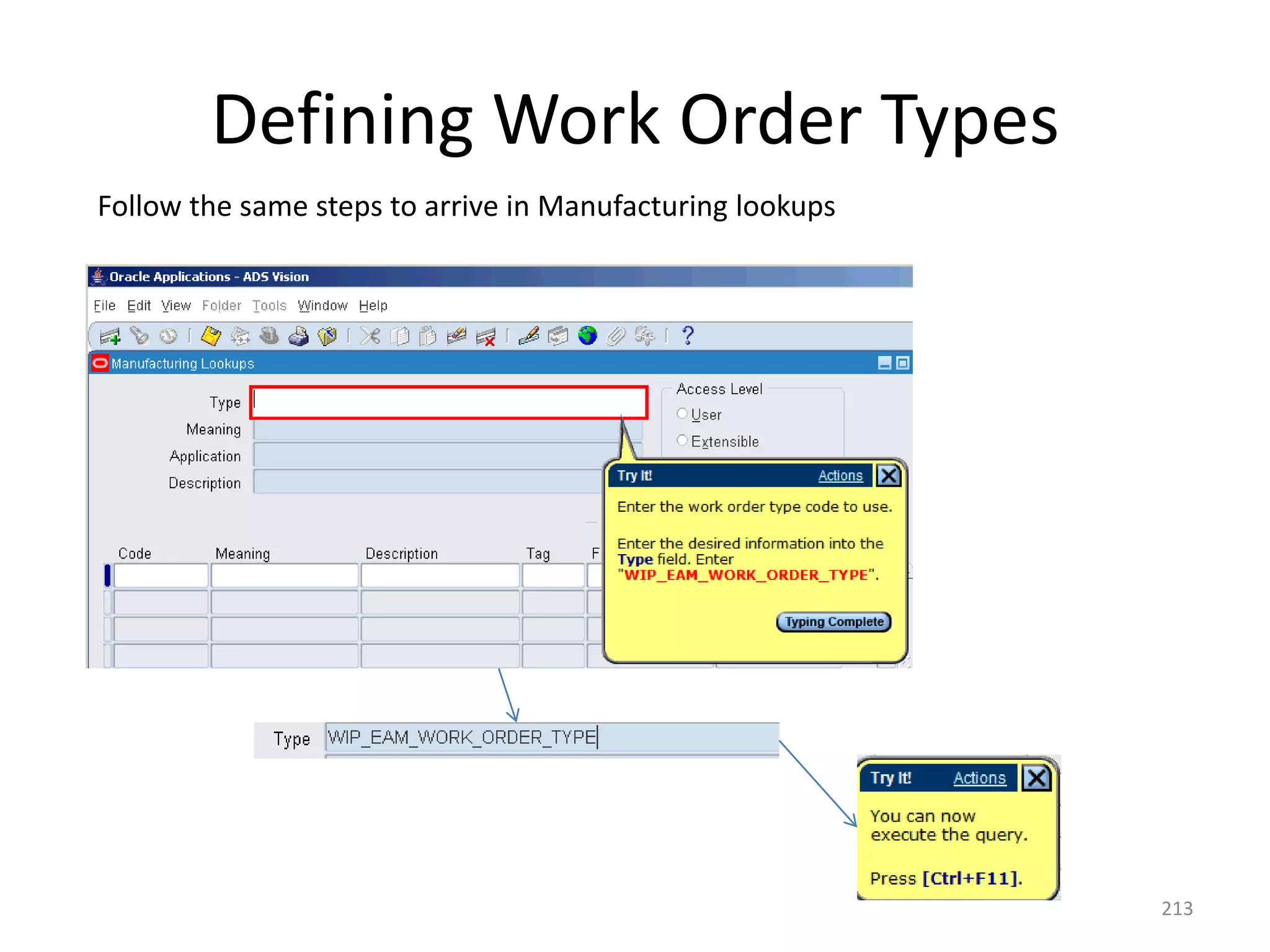 Defining Work Order Types
Follow the same steps to arrive in Manufacturing lookups




                                                           213
 