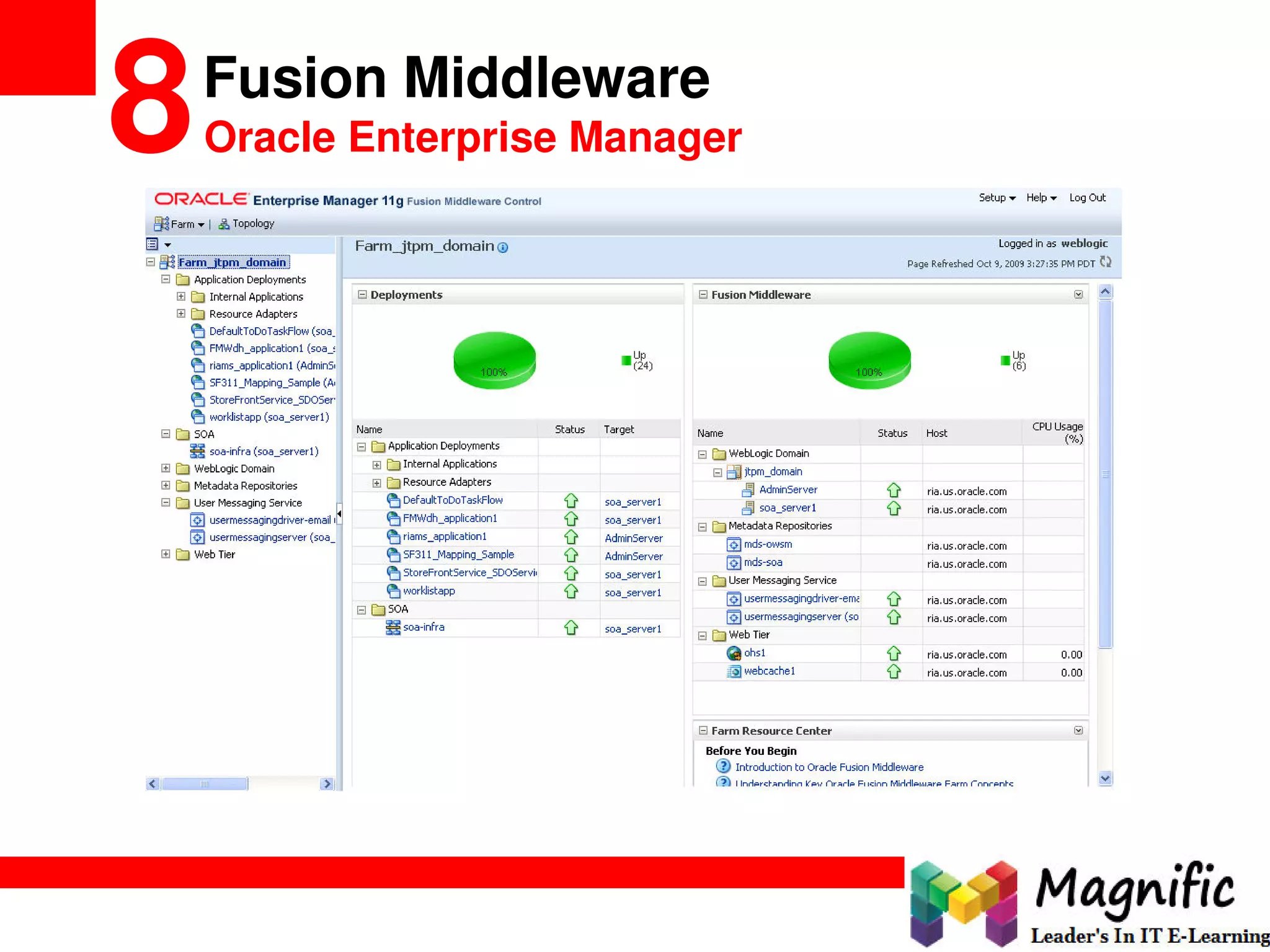 Fusion Middleware
8Oracle Enterprise Manager
 