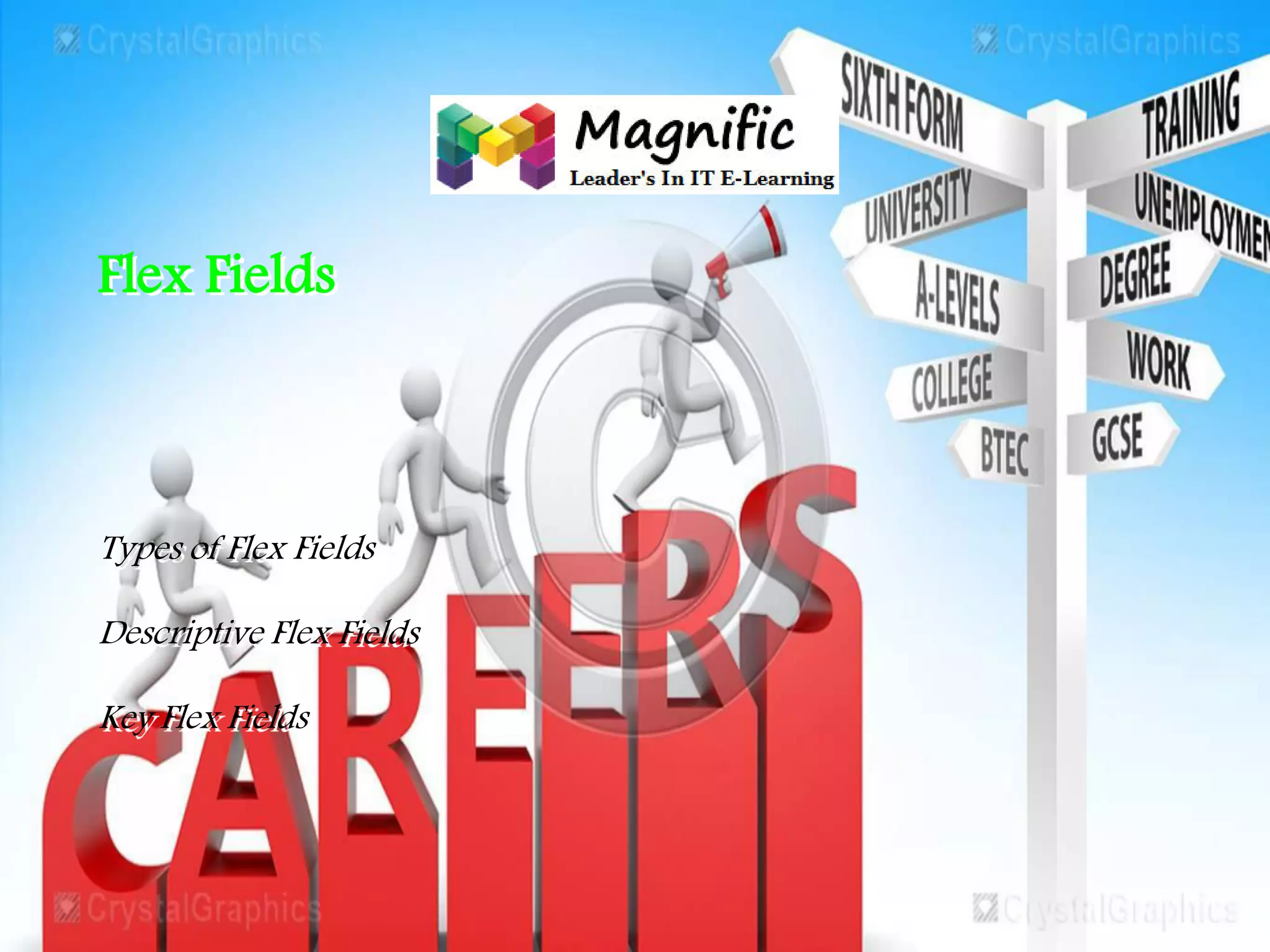 Flex Fields
Types of Flex Fields
Descriptive Flex Fields
Key Flex Fields
 