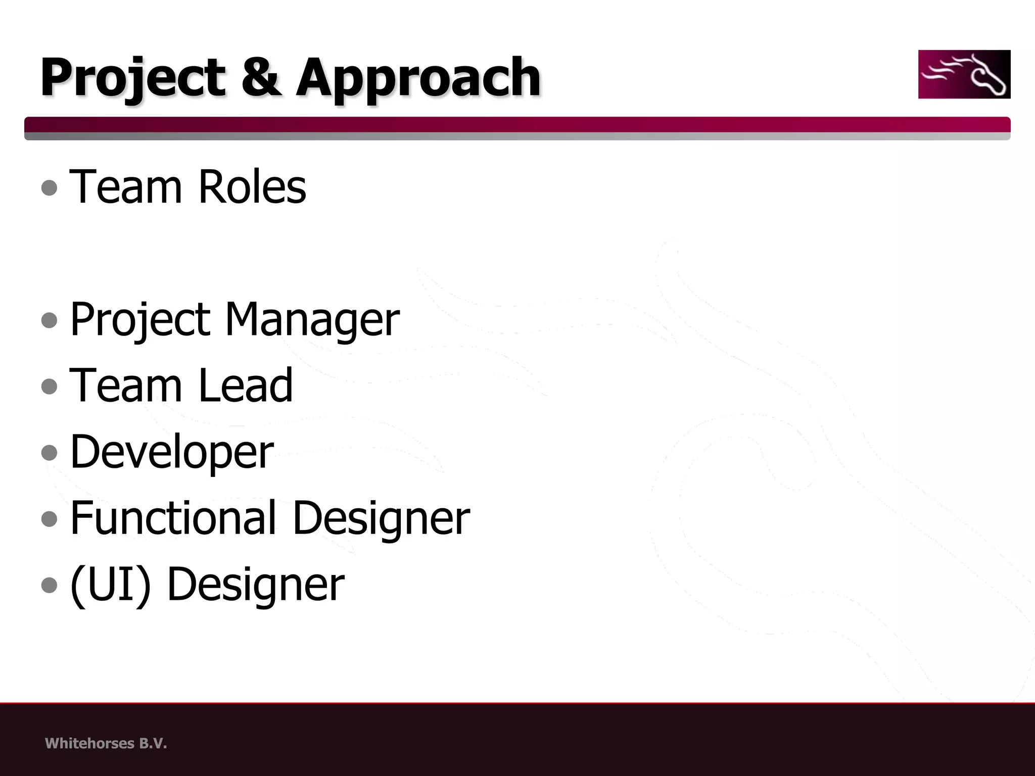 Project & ApproachTeam RolesProject ManagerTeam LeadDeveloperFunctional Designer(UI) Designer