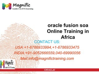 oracle fusion soa
Online Training in
Africa

CONTACT US:
USA:+1-6786933994,+1-6786933475
INDIA:+91-9052666559,040-69990056
Mail:info@magnifictraining.com

 