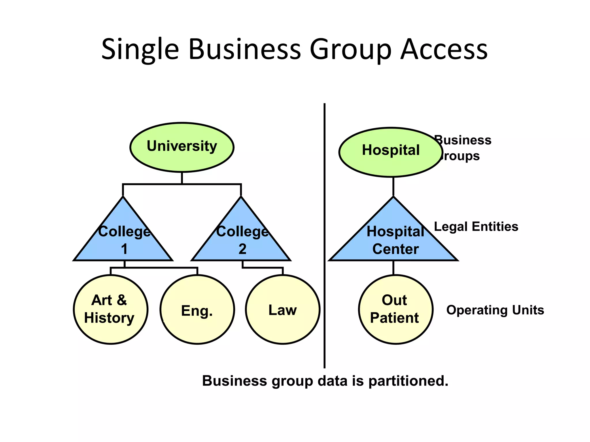 Single Business Group Access
Business
Groups
Legal Entities
Operating Units
University
College
1
College
2
LawEng.
Art &
History
Hospital
Center
Out
Patient
Business group data is partitioned.
Hospital
 