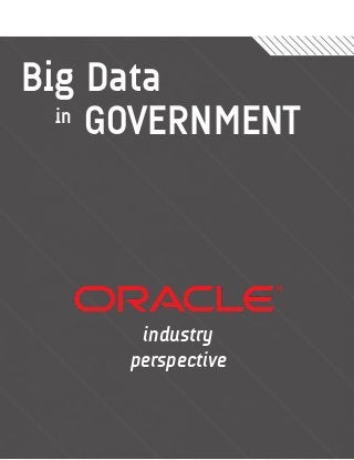 Big Data
  in GOVERNMENT




      industry
     perspective
 
