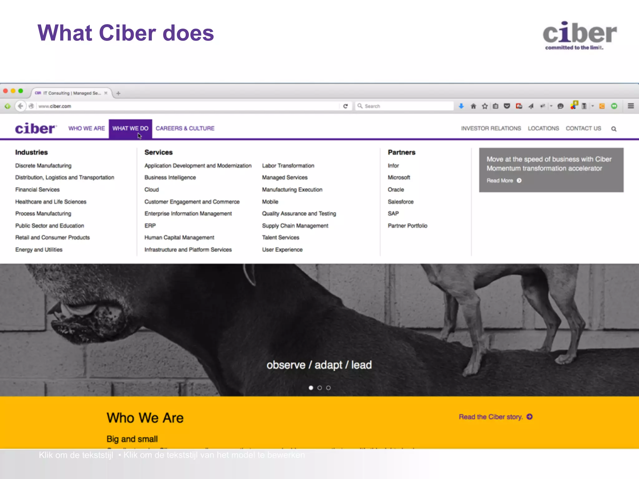 Klik om de tekststijl • Klik om de tekststijl van het model te bewerken What Ciber does 