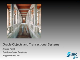 Oracle Objects and Transactional Systems Andrea Parrilli Oracle and Java Developer [email_address] 