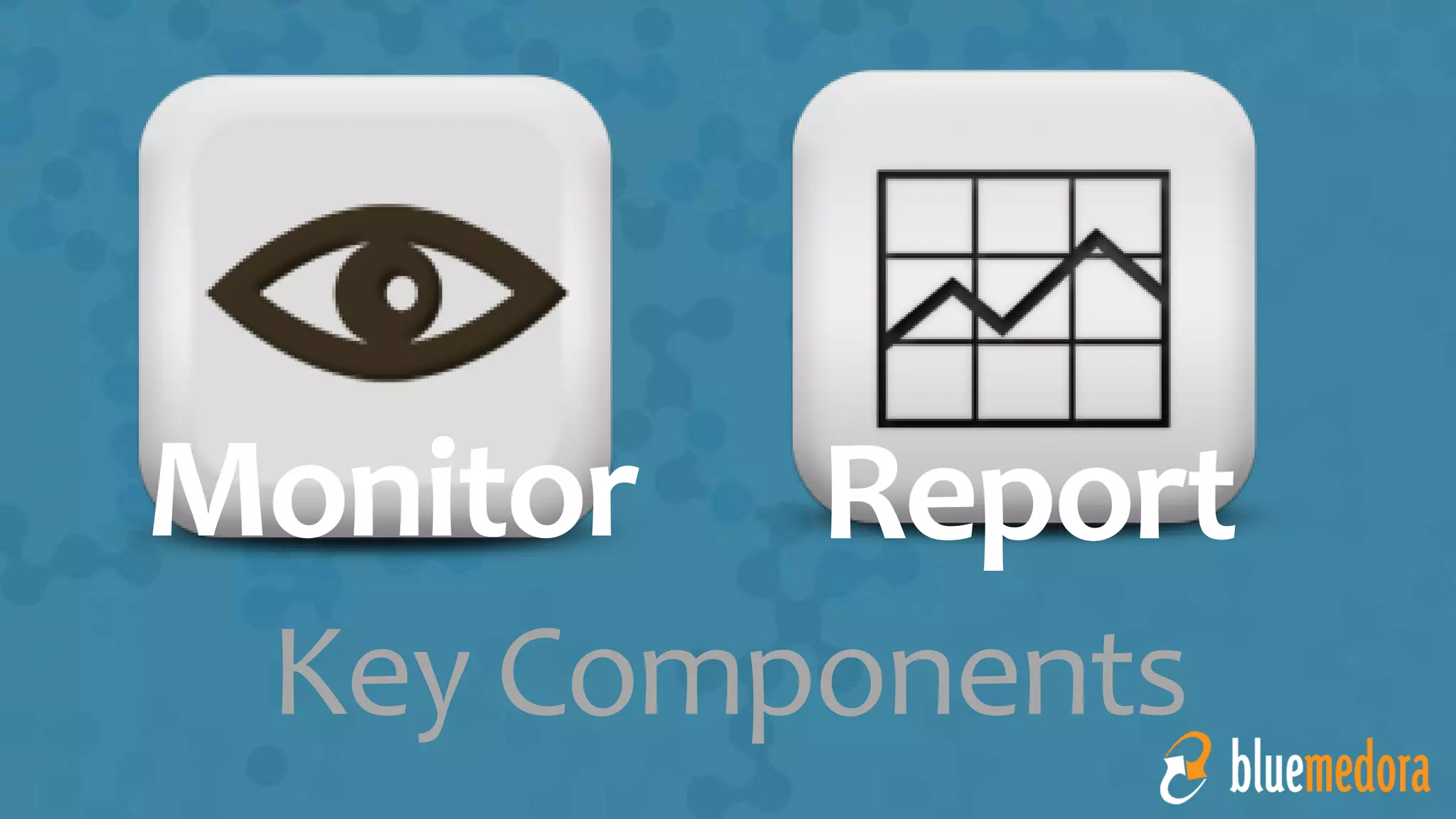 Key Components
Monitor Report
 