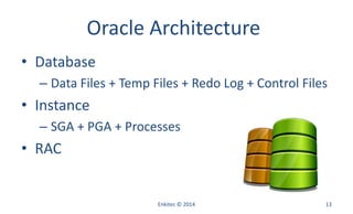 Oracle Architecture
• Database
– Data Files + Temp Files + Redo Log + Control Files
• Instance
– SGA + PGA + Processes
• RAC
Enkitec © 2014 13
 