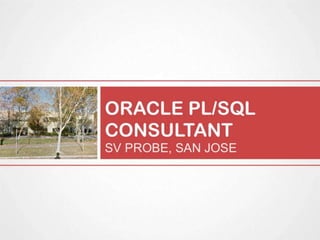 Oracle PL SQL Consultant at SV Probe