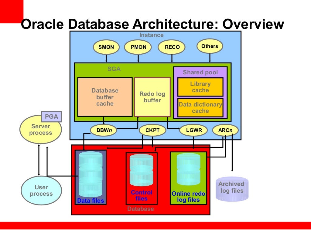 Presentation of Oracle database products for Beginners