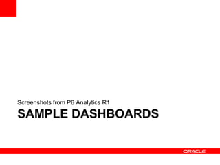 Screenshots from P6 Analytics R1

SAMPLE DASHBOARDS
 