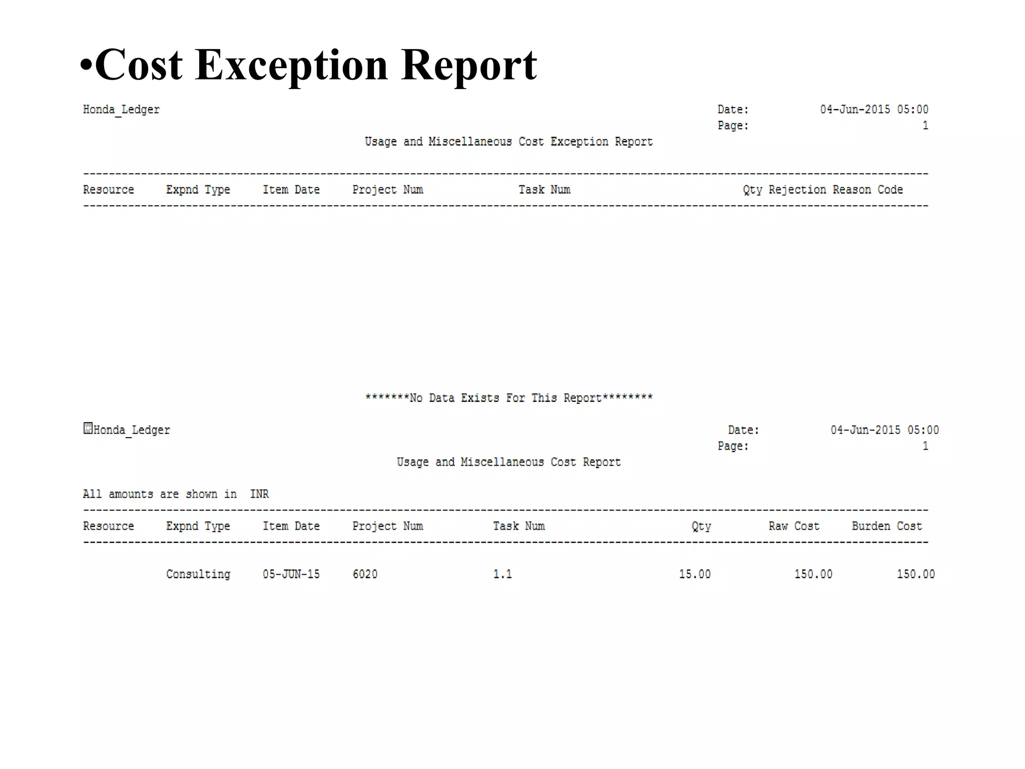 •Cost Exception Report
 