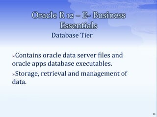 Responsibility is a level of authority in E-BS.5