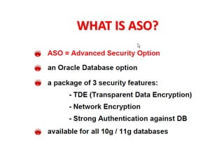 Oracle Security Presentation | PDF