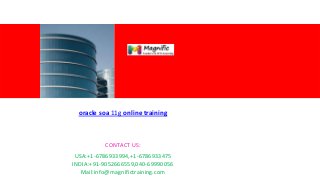 <Insert Picture Here>

oracle soa 11g online training

CONTACT US:
USA:+1-6786933994,+1-6786933475
INDIA:+91-9052666559,040-69990056
Mail:info@magnifictraining.com

 